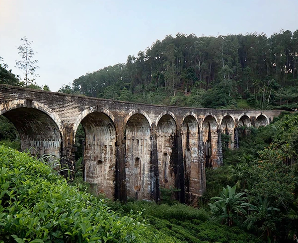 Nuwara Eliya to Ella to Yala