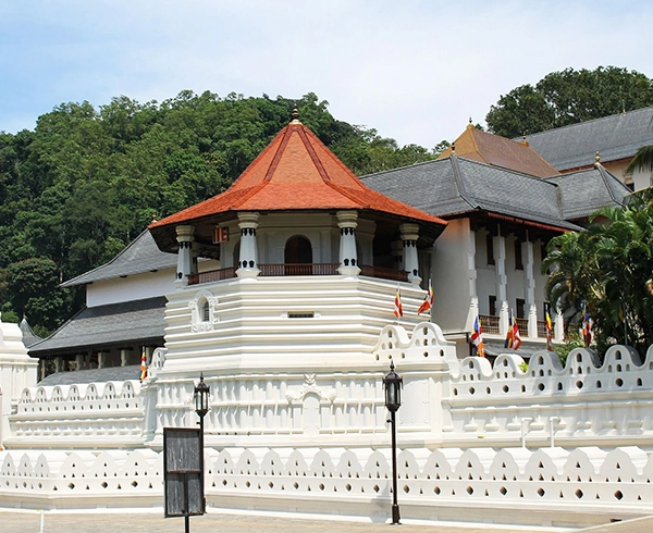 Habarana to Kandy